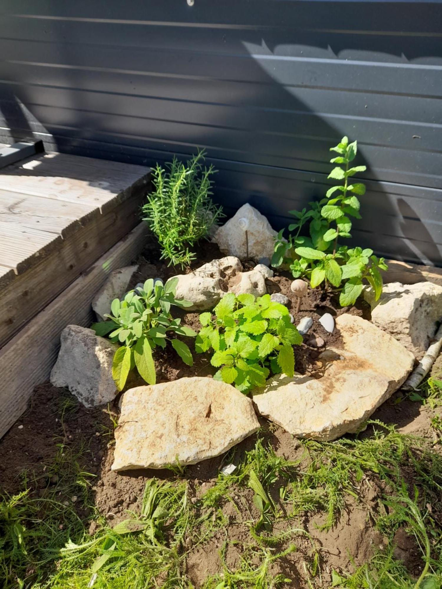 Tinyhouse Wemding 빌라 외부 사진